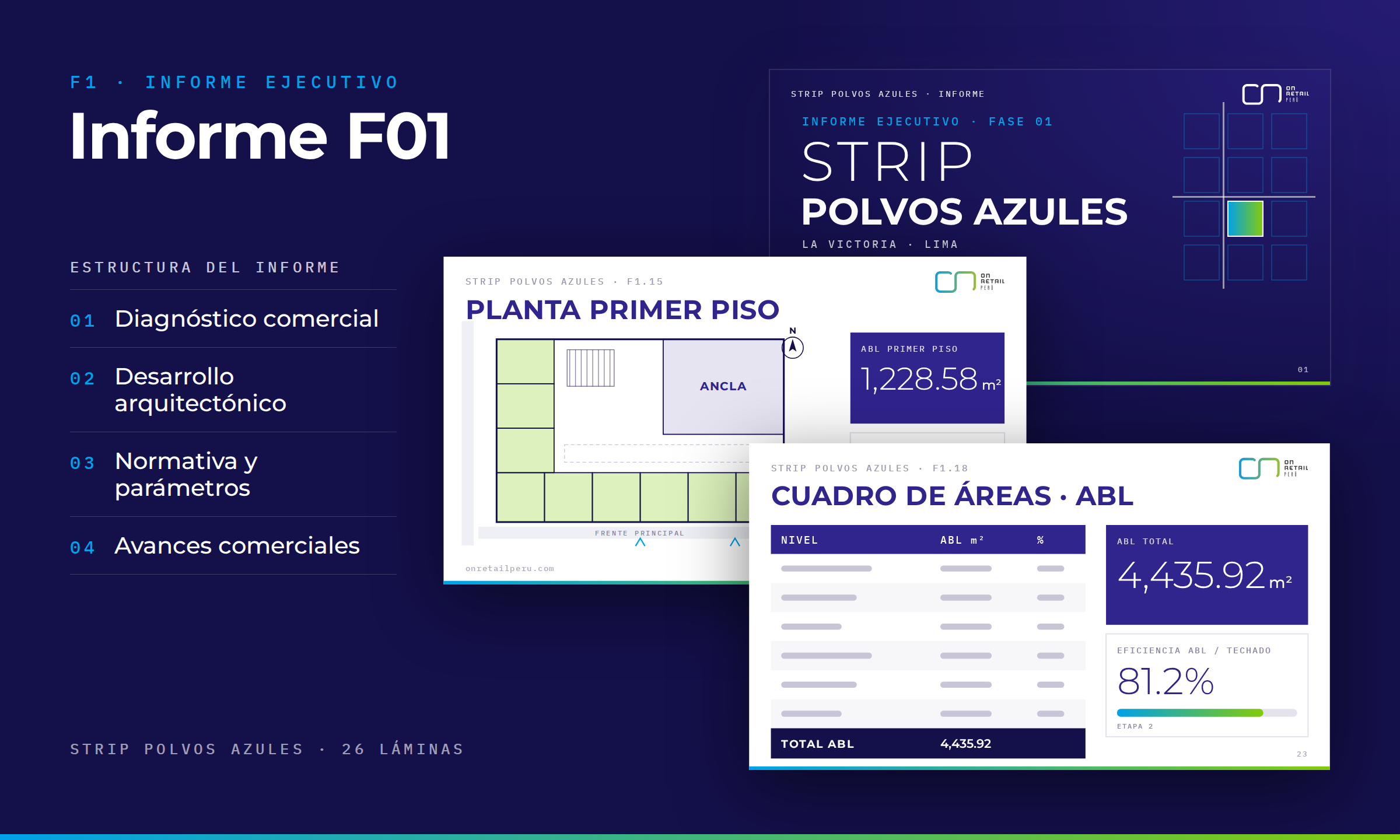 Informe F01